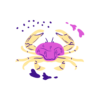 Cancer Zodiac Sign